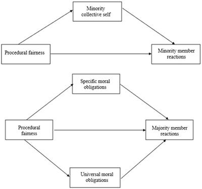 Procedural fairness in ethnic-cultural decision-making: fostering social cohesion by incorporating minority and majority perspectives